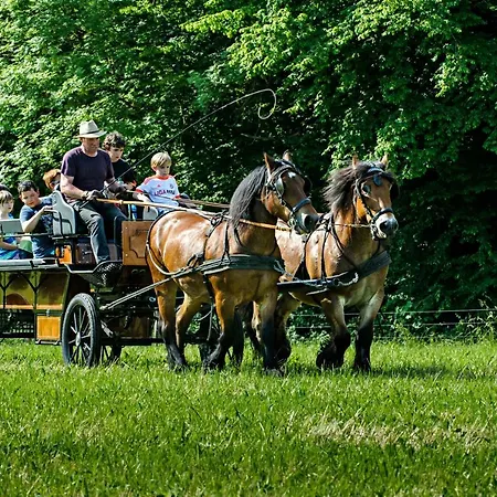 Apartament Nengshof Mohnblume Und Kornblume *