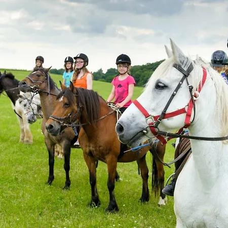 Nengshof Mohnblume Und Kornblume Apartament Wißmannsdorf