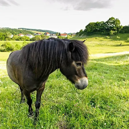 Nengshof Mohnblume Und Kornblume Apartament Wißmannsdorf