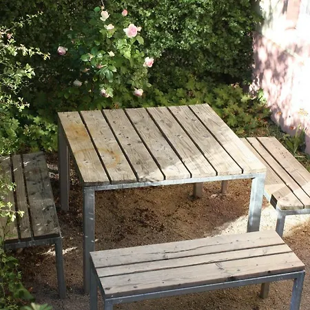 Nengshof Mohnblume Und Kornblume Apartment