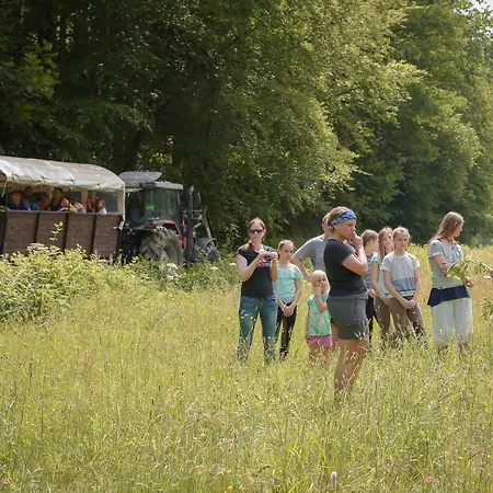 Nengshof Mohnblume Und Kornblume Apartament *