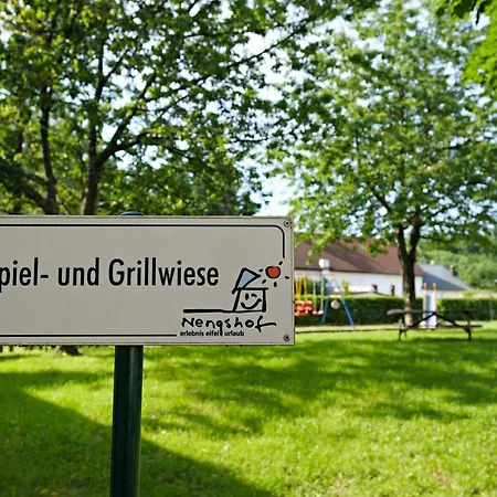 Nengshof Mohnblume Und Kornblume Apartment