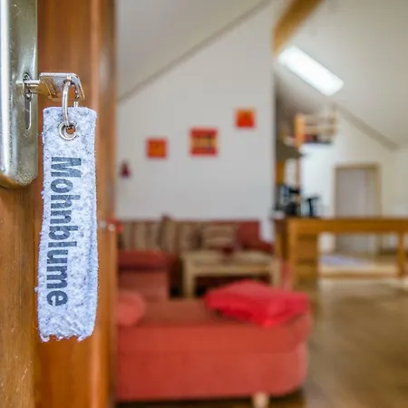 Nengshof Mohnblume Und Kornblume Wissmannsdorf
