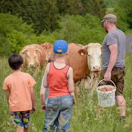 Nengshof Mohnblume Und Kornblume * Wißmannsdorf