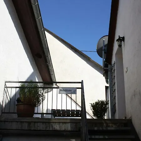 Nengshof Mohnblume Und Kornblume Wissmannsdorf