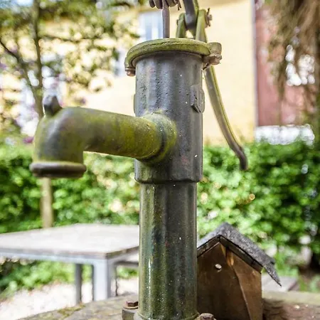 Nengshof Mohnblume Und Kornblume Apartament