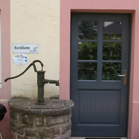 Apartament Nengshof Mohnblume Und Kornblume