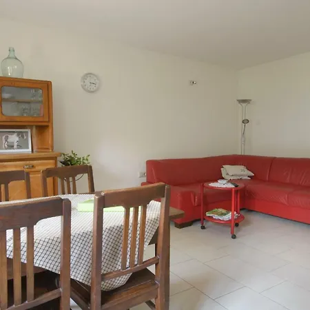 Nengshof Mohnblume Und Kornblume * Wißmannsdorf