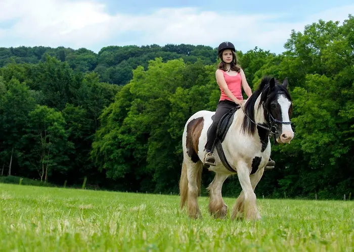 Nengshof Mohnblume Und Kornblume *