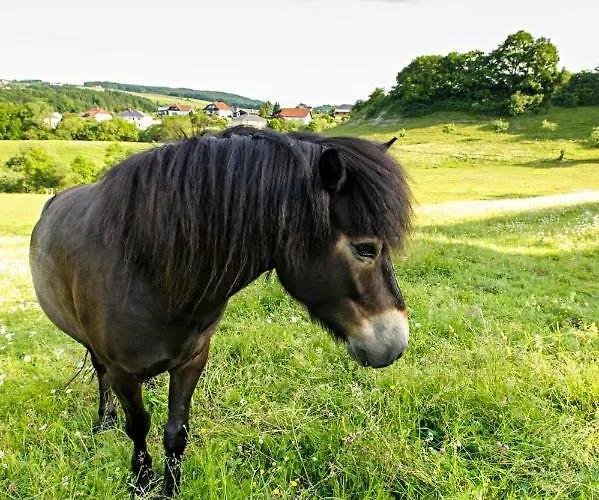 Nengshof Mohnblume Und Kornblume דירה Wißmannsdorf