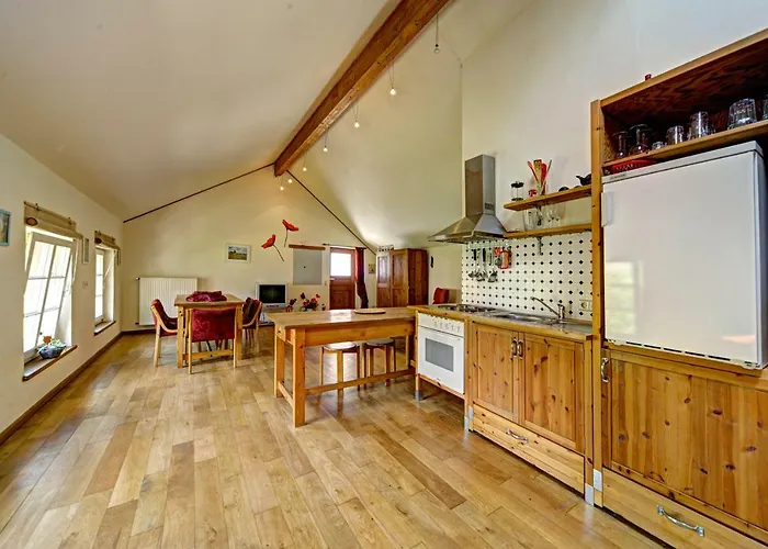 Nengshof Mohnblume Und Kornblume Wißmannsdorf