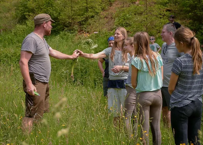 Nengshof Mohnblume Und Kornblume
