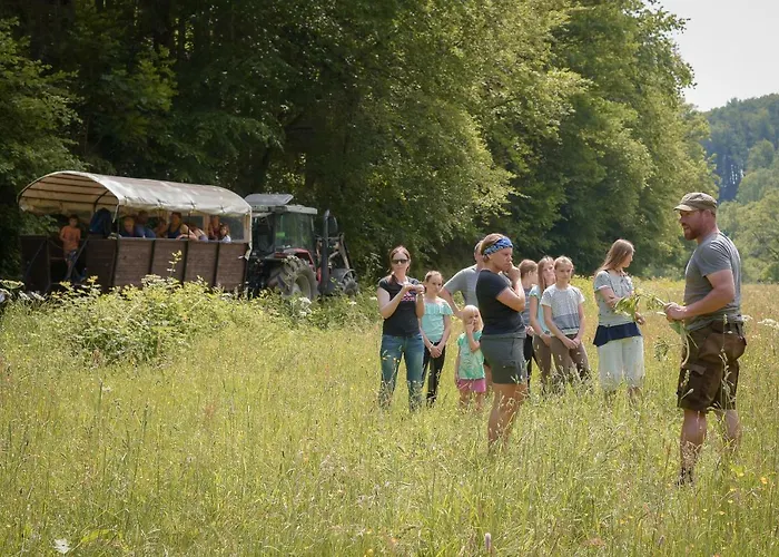 Nengshof Mohnblume Und Kornblume דירה *
