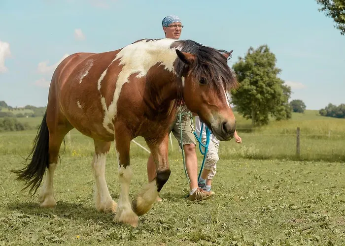 Nengshof Mohnblume Und Kornblume Wißmannsdorf