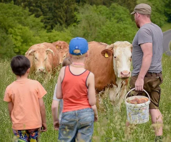 Nengshof Mohnblume Und Kornblume * Wißmannsdorf