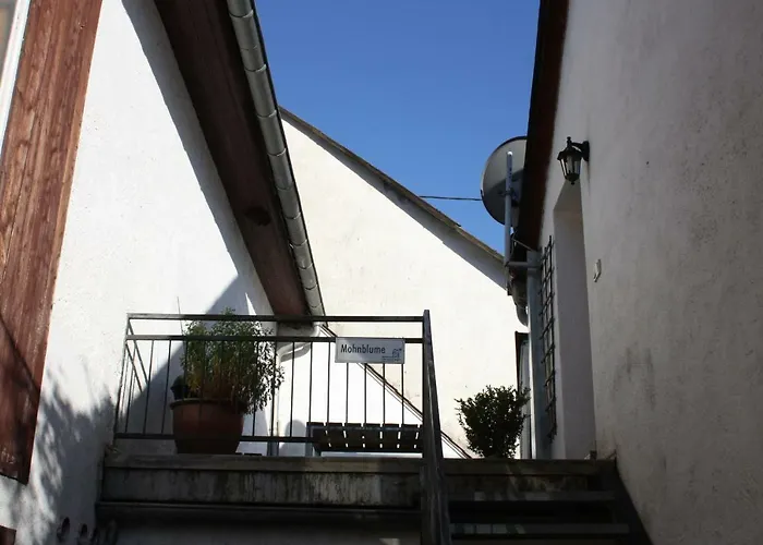 Nengshof Mohnblume Und Kornblume Wißmannsdorf