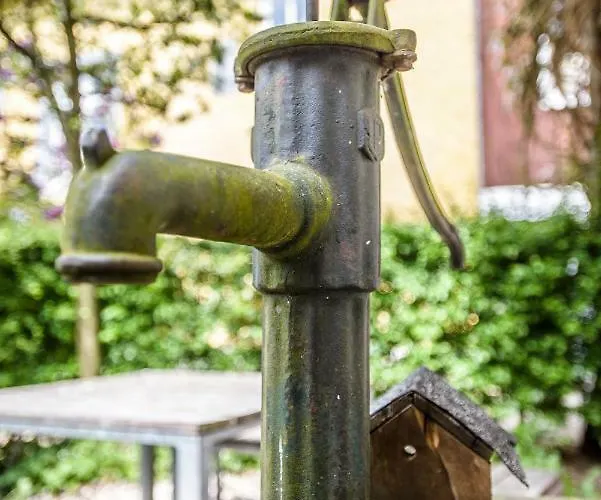 Nengshof Mohnblume Und Kornblume דירה